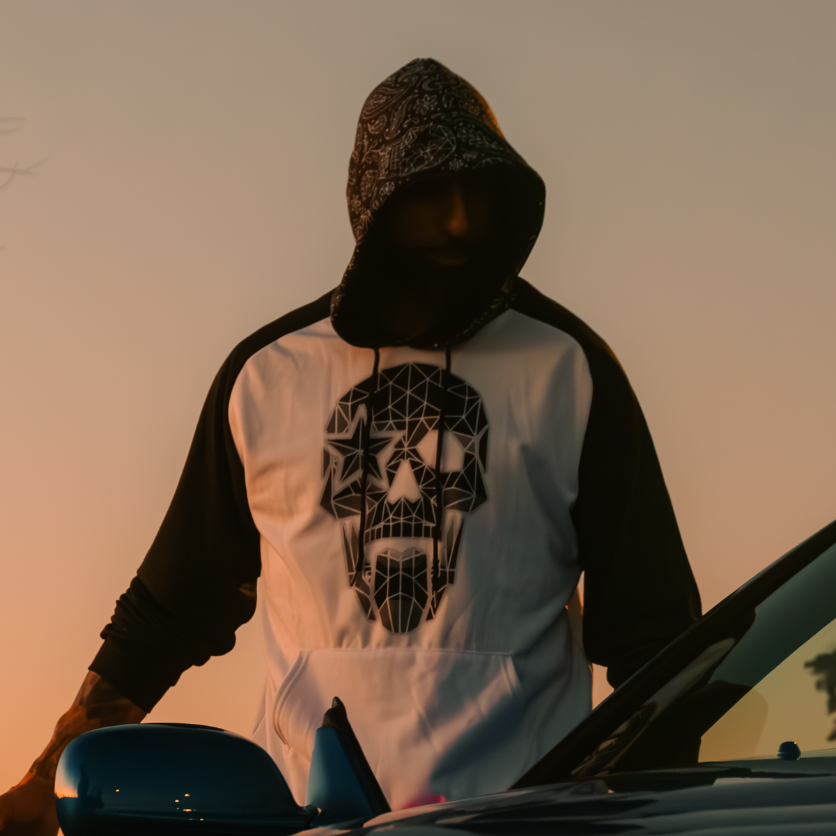 Dark Skull Raglan Fleece Hoodie